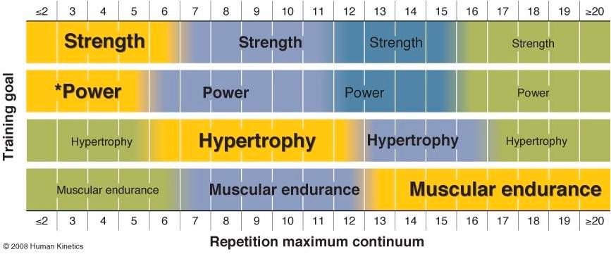 Weightlifting 101: The Basics and Foundations for Starters