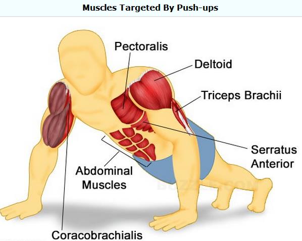 My Current Lifting Routine in 2016 – Part 1 – Mondays and Thursdays